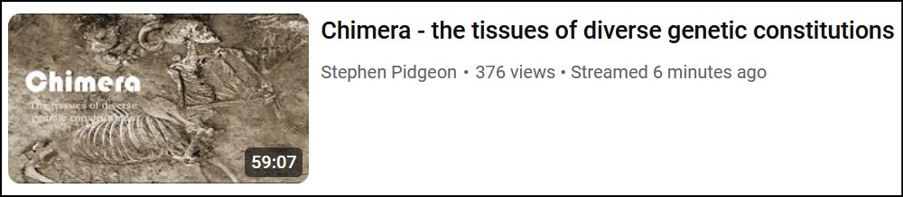 Cepher Moments Nov 2024